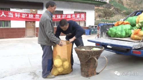 萬(wàn)源 食用農(nóng)產(chǎn)品憑證上市，打造質(zhì)量安全新名片