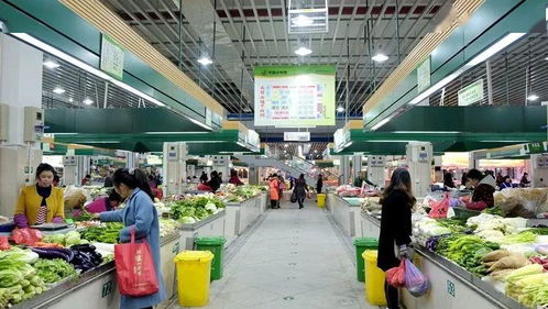 路橋食光 共享美味，打造農(nóng)產(chǎn)品批發(fā)新生態(tài)