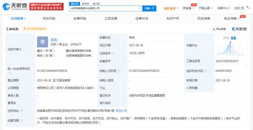 北京信息技術(shù)咨詢服務(wù) 驅(qū)動(dòng)企業(yè)數(shù)字化轉(zhuǎn)型的核心引擎